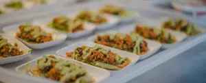 Vegan Fam Festival
