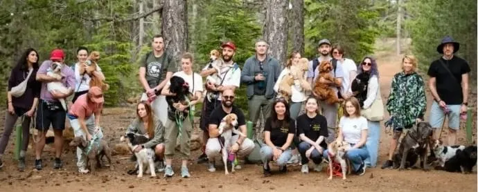 A hike with dogs in the Troodos Mountains