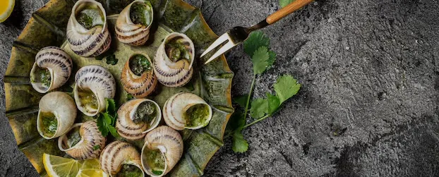 3rd Snail Festival
