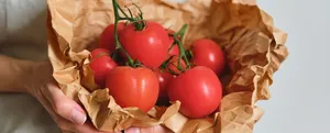 Tomato Festival