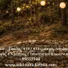 Elizabeth Simonian
