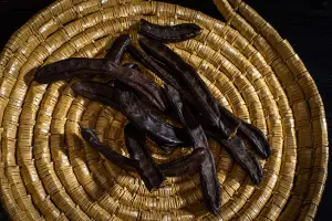 Carob Festival