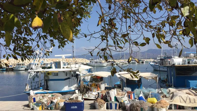 Fish Festival