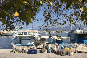 Fish Festival
