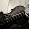 Yuri Revich
