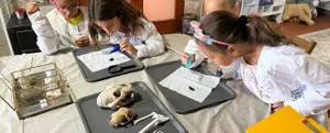 Young Veterinarian Club