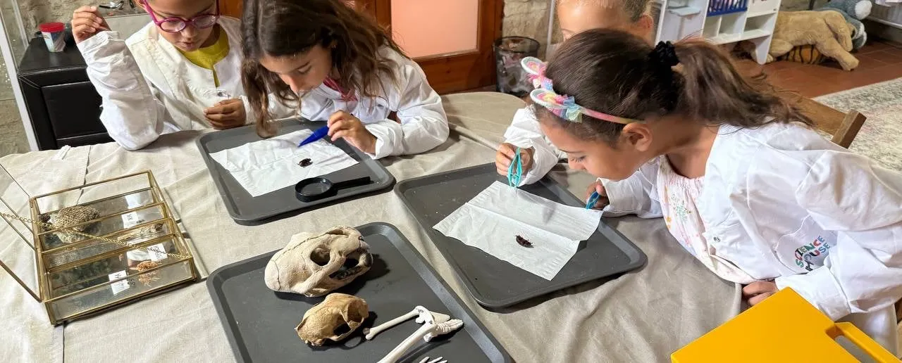 Young Veterinarian Club