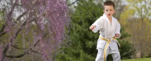 Fitness and Martial Arts Day