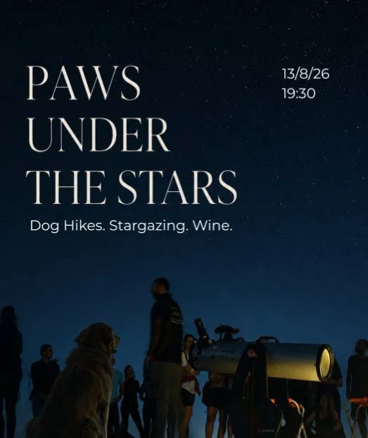 Paws Under the Stars: Πεζοπορία με σκύλο & Perseid Meteor Shower στο Machairas