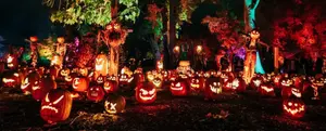 Wacko Maniacs Halloween