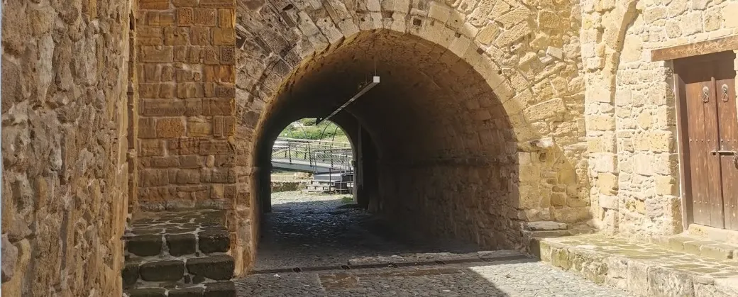 Mehmetcan Soyluoğlu - events in Cyprus