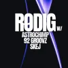 astrochimp