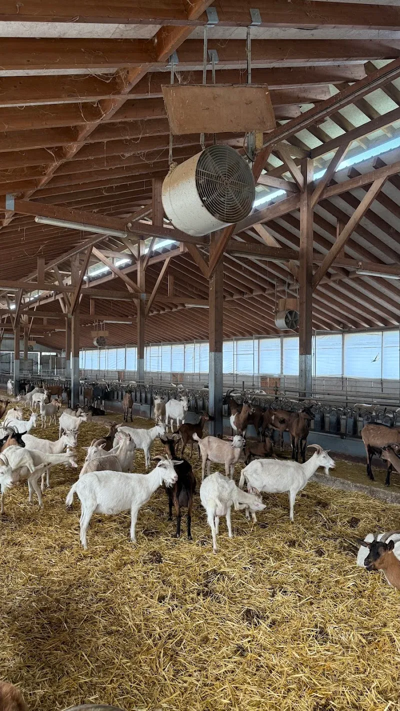 Riverland Bio Farm - venue in Λάρνακα, Cyprus