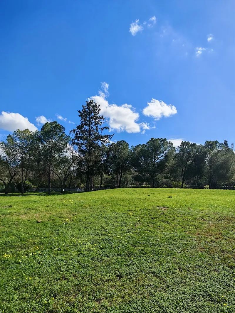Agios Dimitrios Park - venue in Nicosia, Cyprus