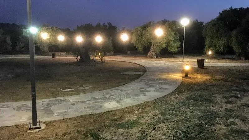 Community Olive Park - venue in Larnaca, Cyprus