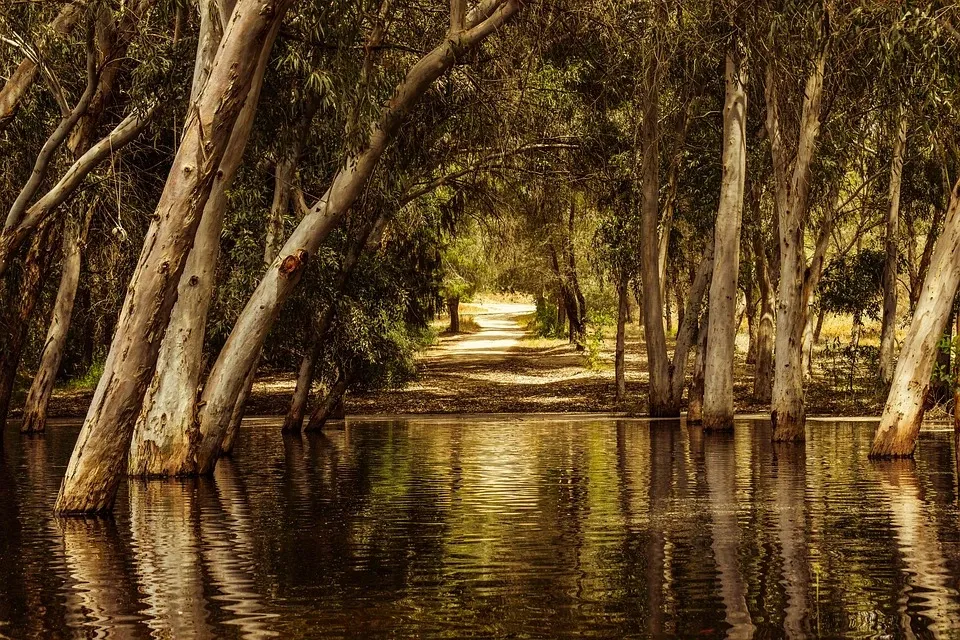 Grammiko Park - venue in Nicosia, Cyprus