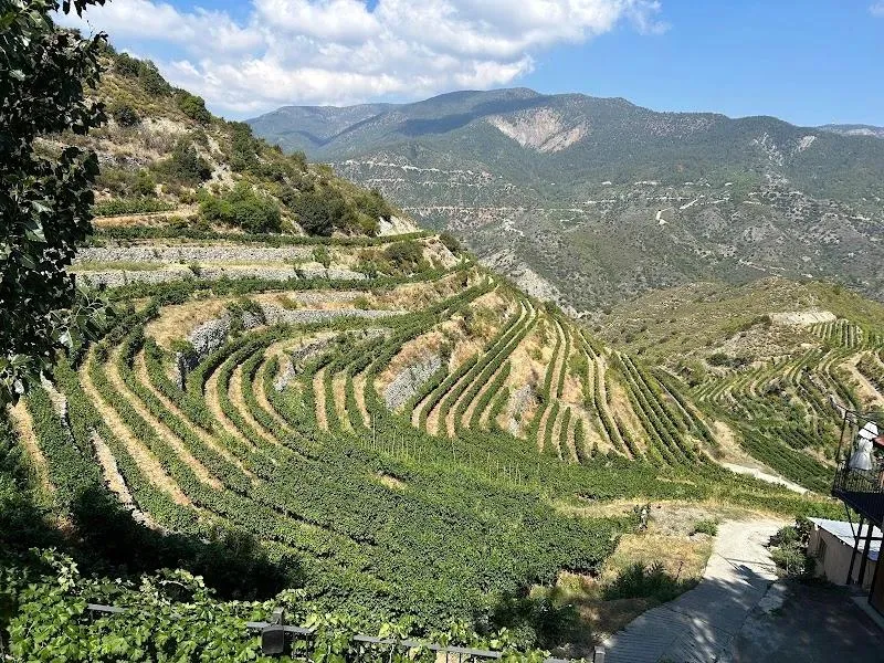Pelendri village