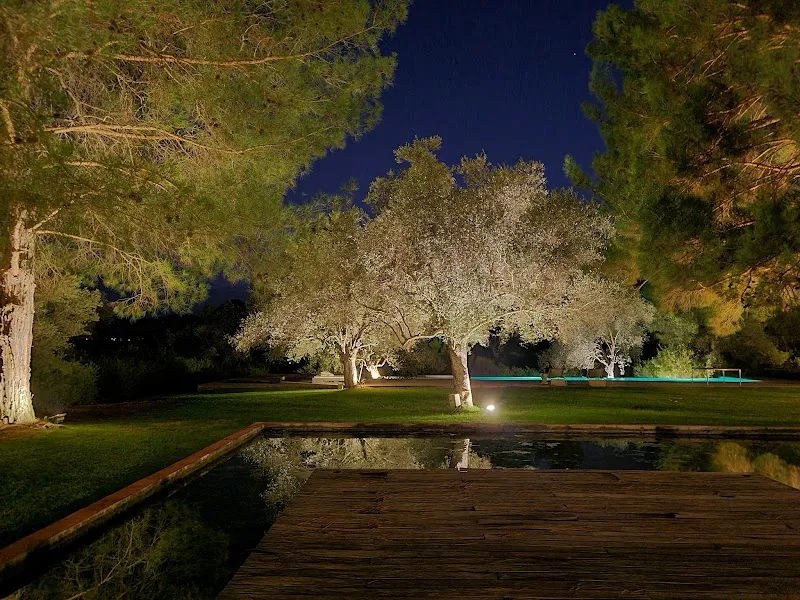The Olive Grove - venue in Larnaca, Cyprus
