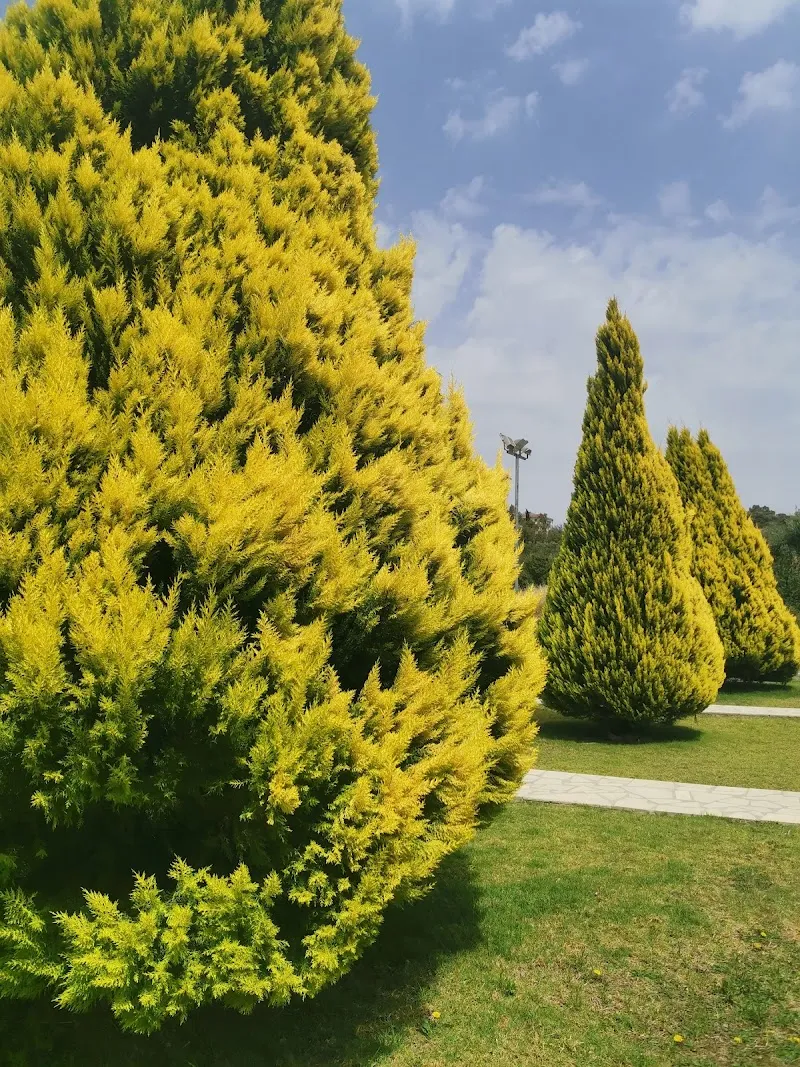 Akrounta Park - venue in Limassol, Cyprus