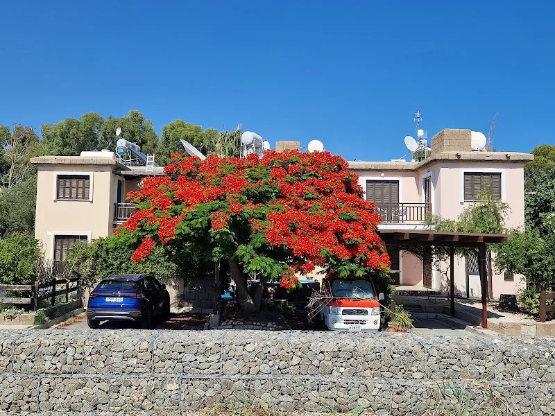 Forest Beach - venue in Larnaca, Cyprus