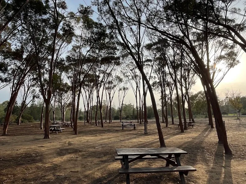 Eucalyptus Picnic Area