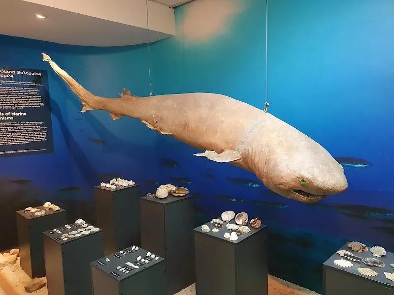 Cyprus Museum of Natural History - venue in Nicosia, Cyprus