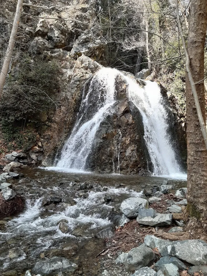 Phini Village Cultural Center - venue in Troodos, Cyprus