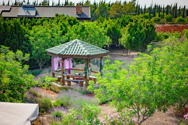 Cyherbia Botanical Park & Maze