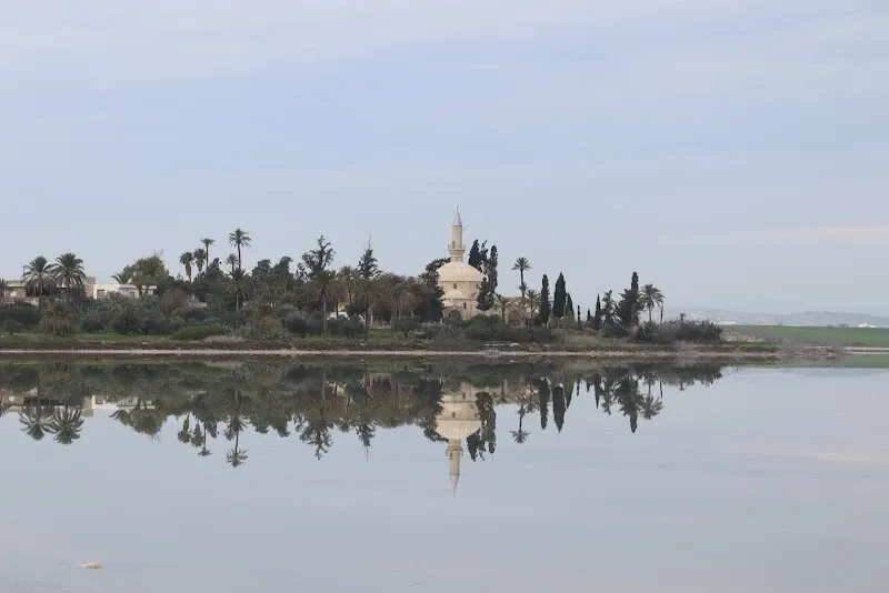 Aliki Salt Lake Larnaca  - venue in Λάρνακα, Cyprus