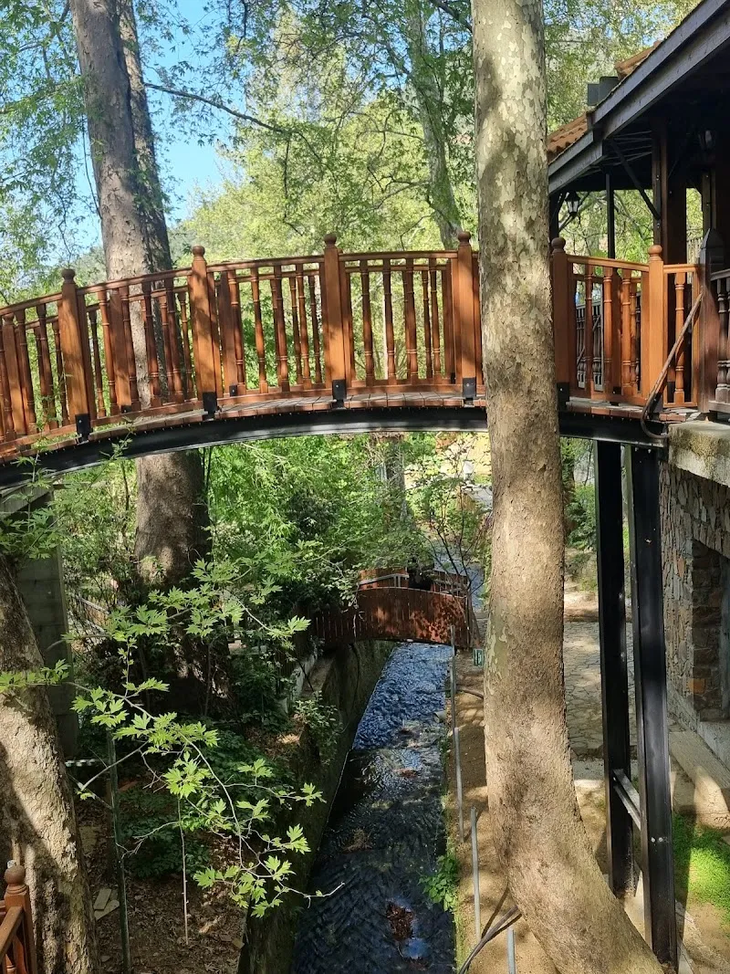 Kampos Sakura Park - venue in Troodos, Cyprus