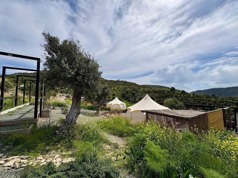 For Rest Glamping