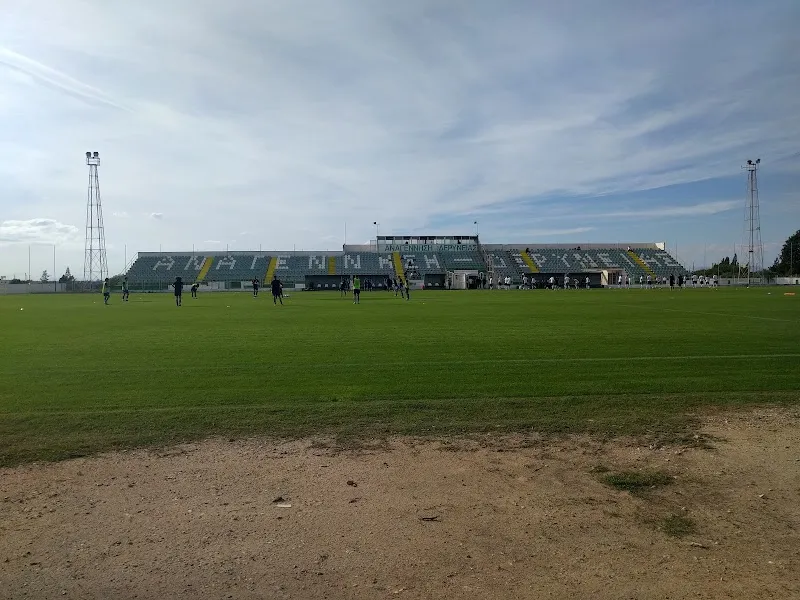 Anagennisi Deryneia Stadium - venue in Paralimni, Cyprus