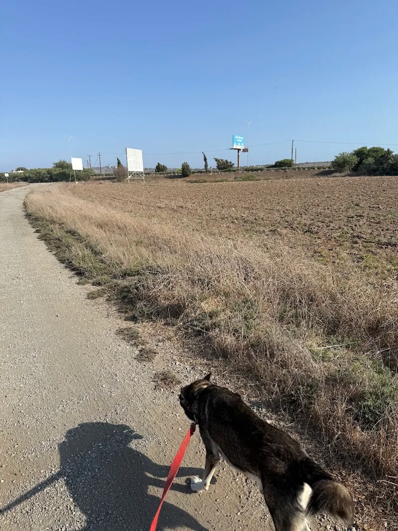 Dog Park