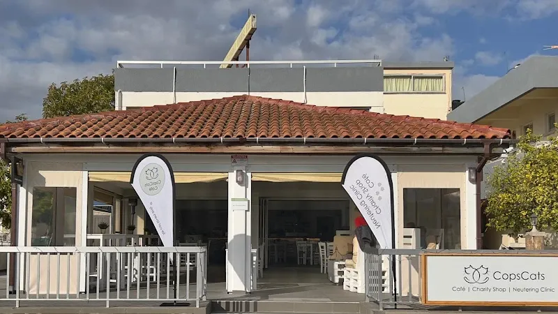CopsCats Center - venue in Λάρνακα, Cyprus
